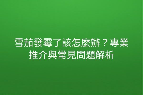 雪茄發霉了該怎麼辦？專業推介與常見問題解析