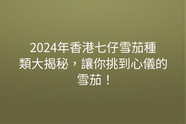 2024年香港七仔雪茄種類大揭秘，讓你挑到心儀的雪茄！