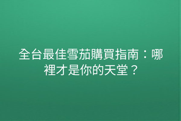 全台最佳雪茄購買指南：哪裡才是你的天堂？