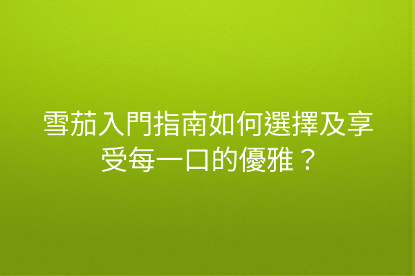 雪茄入門指南如何選擇及享受每一口的優雅？