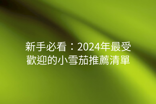 新手必看：2024年最受歡迎的小雪茄推薦清單