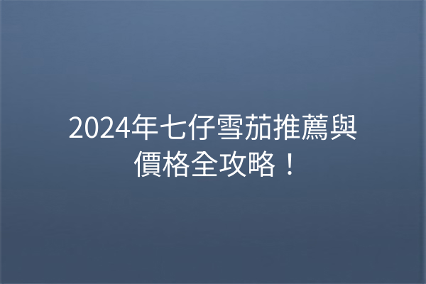 2024年七仔雪茄推薦與價格全攻略！